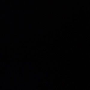 Meet your Posher, Dimitri